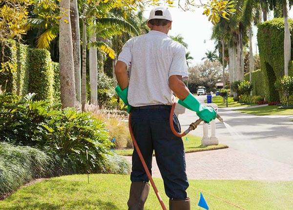 About Fountain CO Pest Control Pros